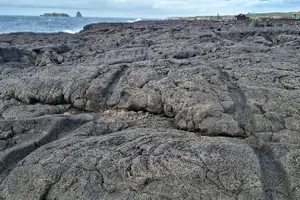 Tour image of Pico Island wine culture - Private tour (+ optional wine tasting)