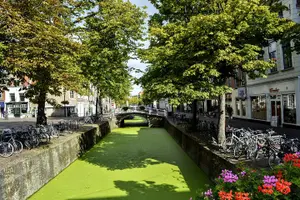 Tour image of Rotterdam & Delft Private Offshore Daily Walking Tour