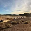 Image of Motor Sports