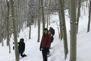 Tour image of Private Park City Snowshoe Excursions (9:30am/12:30pm start time)