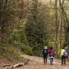 Image of Nature and Wildlife Tours