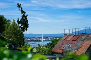 Tour image of Geneva: Sightseeing of top Places Tour Electric TukTuk 1H15 tour