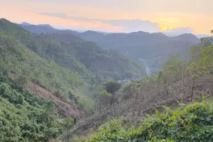 Tour image of Hoi An or Danang to Hue via Hai Van Pass Tour