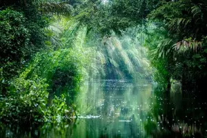 Tour image of 13 Days - Fly & Drive - Touring Costa Rica