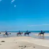 Image of Horseback Riding