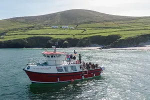 Tour image of Dingle Dolphin Blasket Adventures