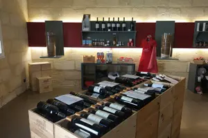 Tour image of Saint-Emilion Private Full Day Wine Tour from Bordeaux