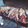 Image of Lunch Cruises