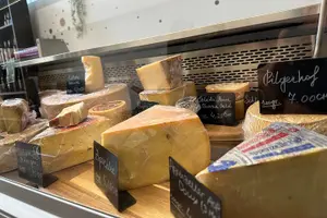 Tour image of Swiss Cheese Tasting Experience | Basel