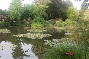 Tour image of Audioguided tour DE the Monet House and DE Gardens in Giverny
