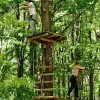Image of Obstacle Courses