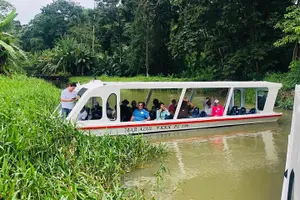 Tour image of Veragua Rainforest Walk, Tram & Tortuguero Boat Tour. Limon Shore Excursion