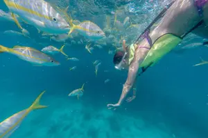 Tour image of Key West Schooner Backcountry Eco Tour Sail Snorkel and Kayak