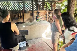 Tour image of Spectacular Palo Verde Eco-Tour & Blue Zone Adventure