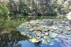 Tour image of Lisboa, Cascais and Sintra - Private guided tour