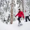 Image of Snowshoeing