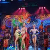 Image of Circus Shows