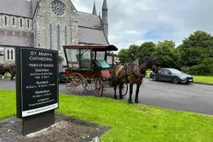 Tour image of Horse-Drawn Carriage Tours in Killarney
