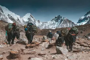 Tour image of Everest Base Camp Trek
