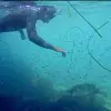 Image of Extreme Sports