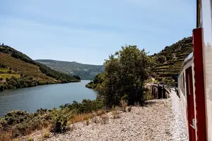 Tour image of Pinhão: Douro River Cruise with Lunch Included