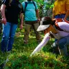 Image of Hiking Tours