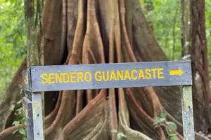Tour image of 2 Days 1 Night Corcovado Jungle Adventure Sirena Ranger Station