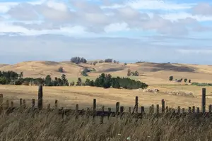 Tour image of Cow Heaven: A Self-Guided Driving Tour from Point Reyes Seashore to Tomales