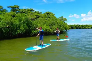 Tour image of Okinawa Ishigaki Mangrove SUP or Canoe Tour