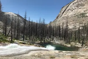 Tour image of Private Tuolumne Meadows Hiking Tour