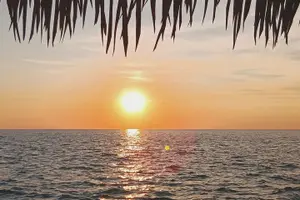 Tour image of Big Kahuna Sunset Dolphin Cruise Experience