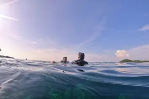 Tour image of [GROUP] SCUBA DIVING for Certified Divers in Phu Quoc Island