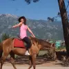 Image of Pack Animal Tours