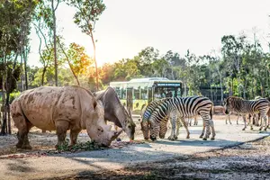 Tour image of Safari Phu Quoc Ticket With Roundtrip Transfer