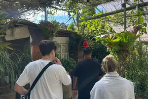 Tour image of Cameron Highland Private Day Tour From Ipoh