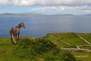 Tour image of Luxury Photography Day Tour on Dingle Peninsula - Fully Guided and Chauffeured