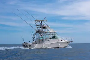 Tour image of Deep Sea Fishing Private Charter in Tamarindo - 35' Cabo Express