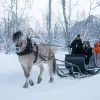 Image of Horseback Riding