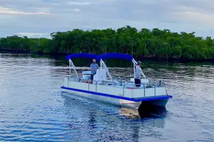 Tour image of Dolphin and Manatee Boat Tour in 10,000 Islands NWR