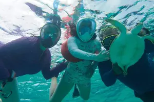 Tour image of Stingray City Experience Plus One Snorkeling Stop