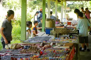 Image of Malaysia