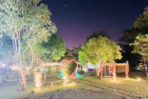 Tour image of Puerto Princesa Jungle River Firefly Watching
