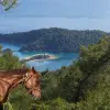 Image of Horseback Riding