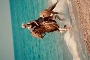 Tour image of Horse Riding in Manavgat Side Forest and Beach