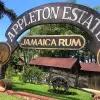 Image of Wine Tastings