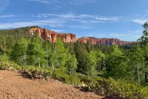 Tour image of YOU DRIVE!! Back Country Views of Bryce Canyon UTV Tour-Full Day!