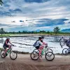 Image of Plantation Tours