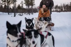 Tour image of Private Self-Drive Dog Sledding and Animal Welfare Course from Kiruna