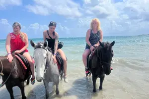 Tour image of Private Transfer from Montego Bay Airport - Negril Hotels