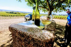 Tour image of Discovery by bike & Tasting in the vineyards